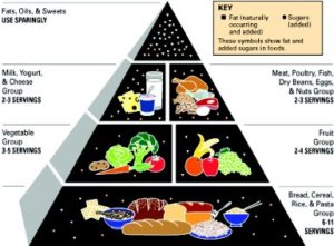 foodpyramid1992
