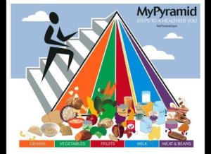 foodpyramid2005
