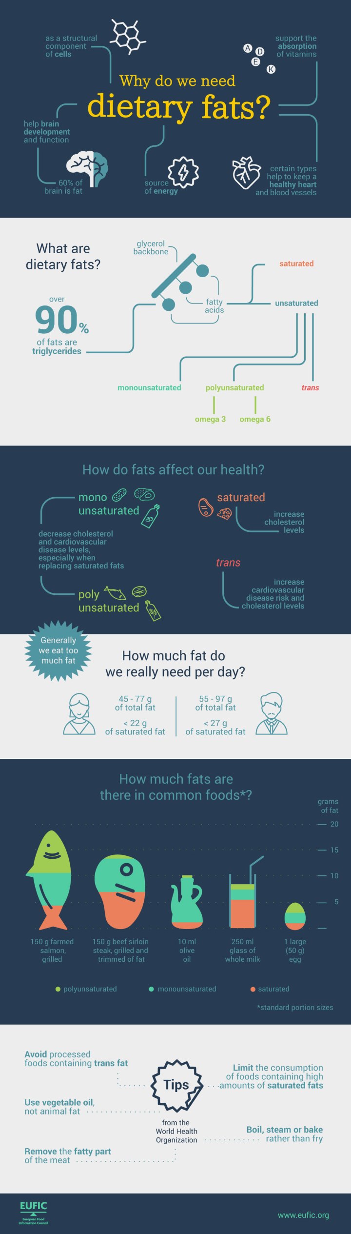 FatInfoFinal_typos_fixed