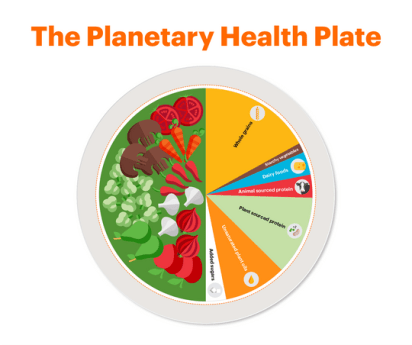 planetary healthy plate